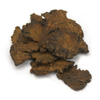 Lovage Root 1 Oz. (Ligusticum levisticum)